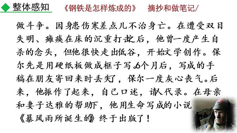 第六单元名著导读 《钢铁是怎样炼成的》  摘抄和做笔记教学课件06