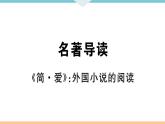 初中语文9下名著导读——《简爱》：外国小说的阅读习题课件