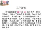 7 散文诗二首 课件