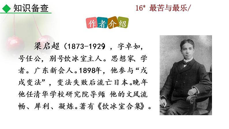 16 《最苦与乐》教学课件第4页