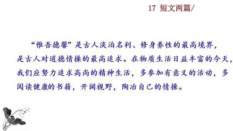 17 《短文两篇》探究积累课件第4页