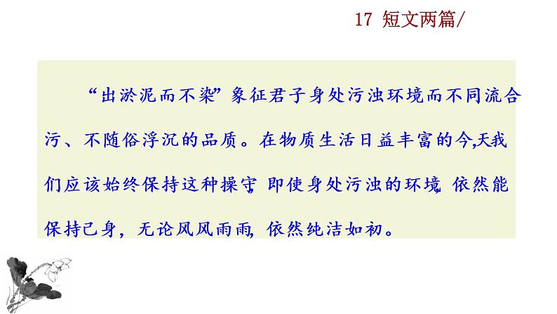17 《短文两篇》探究积累课件第6页