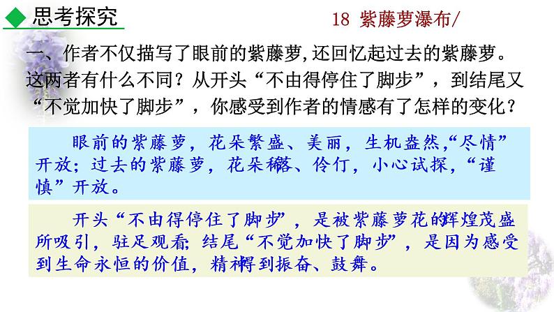 18 《紫藤萝瀑布》探究积累课件第2页