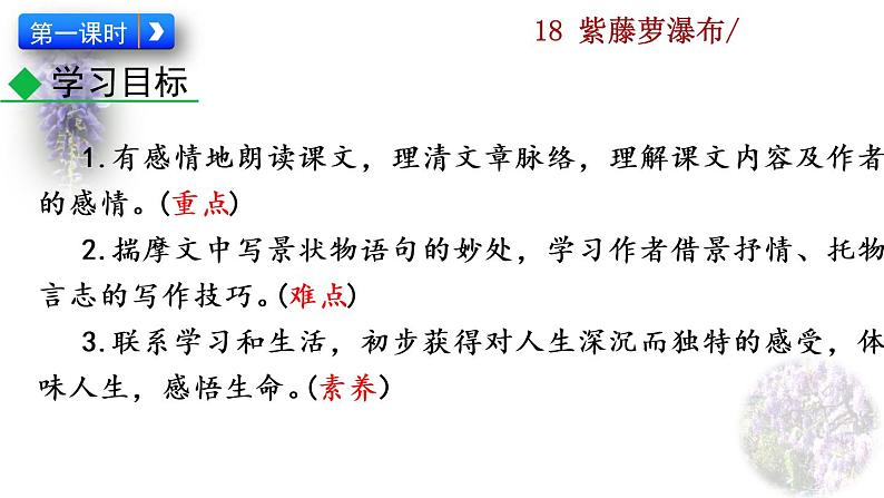 18 《紫藤萝瀑布》教学课件第3页