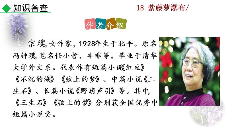 18 《紫藤萝瀑布》教学课件第4页