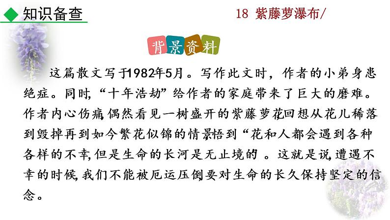 18 《紫藤萝瀑布》教学课件第5页