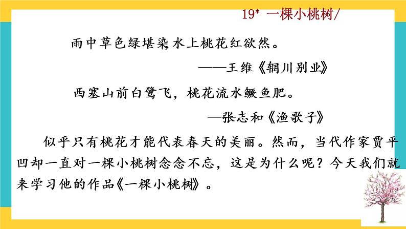 19 《一颗小桃树》教学课件01
