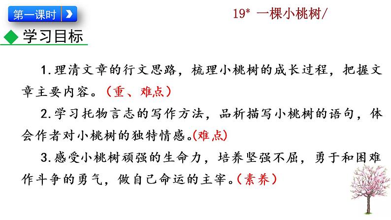 19 《一颗小桃树》教学课件03
