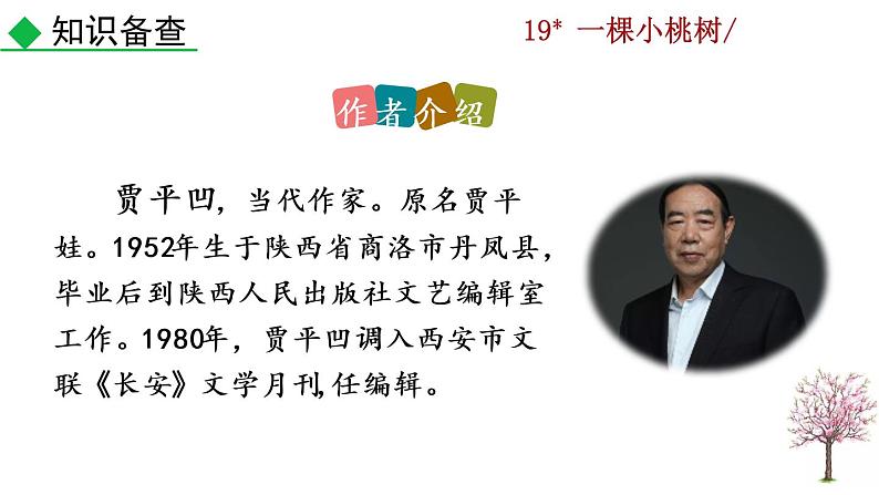 19 《一颗小桃树》教学课件04
