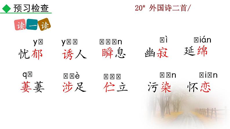 20 《外国诗二首》教学课件+素材04