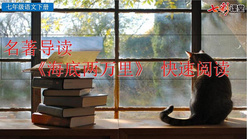 第六单元名著导读 《海底两万里》  快速阅读教学课件03