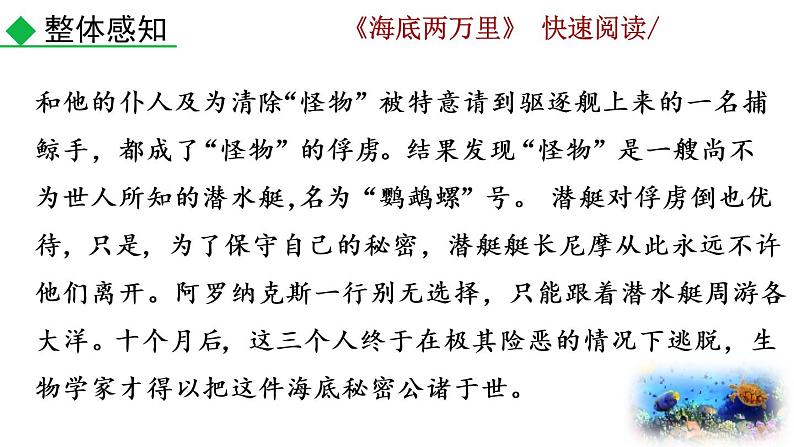 第六单元名著导读 《海底两万里》  快速阅读教学课件07
