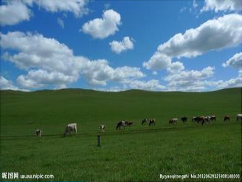 部编版语文六年级上册第一单元《草原》PPT课件03