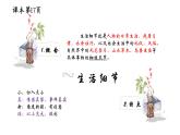 第一单元写作《热爱生活热爱写作》课件2022-2023学年部编版语文七年级上册