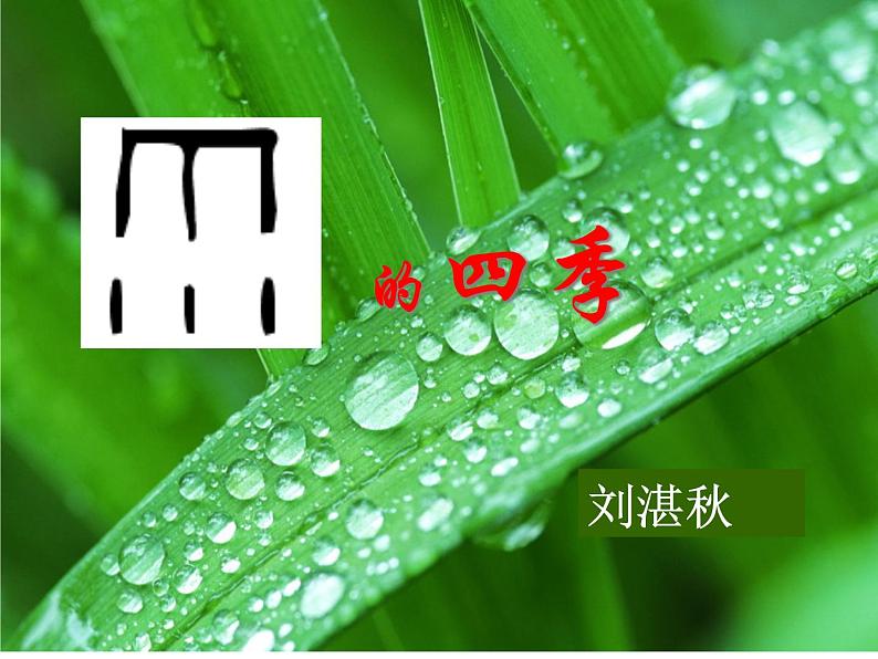 3.雨的四季课件02