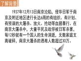 国行公祭，为佑世界和平 课件