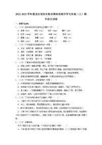 黑龙江省佳木斯市桦南县实验中学2022-2023学年七年级上学期期中语文试题（含答案）