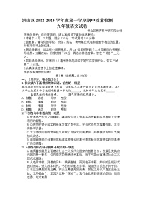湖北省武汉市洪山区2022-2023学年九年级上学期期中语文试题（含答案）