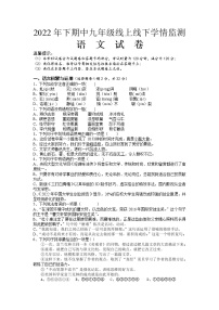 湖南省邵阳市新邵县酿溪镇2022-2023学年九年级上学期期中考试语文试题（含答案）