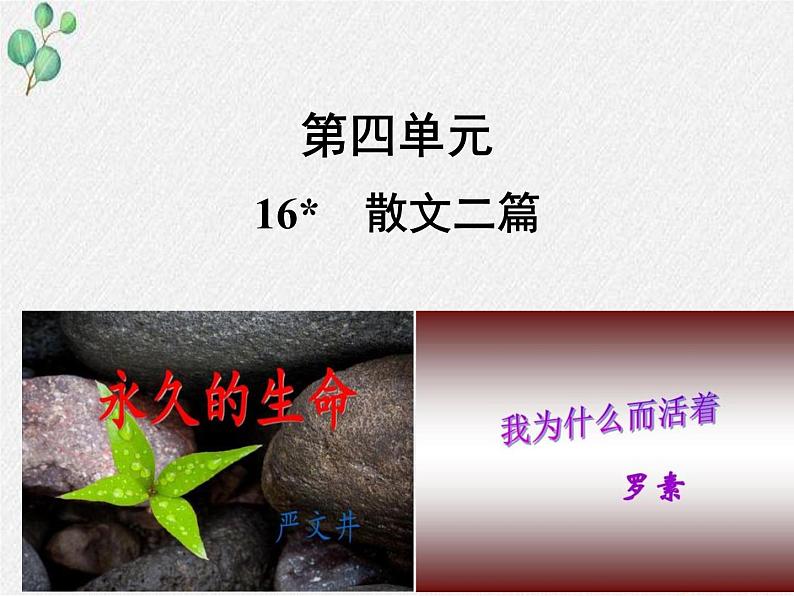 部编语文八年级上学期16《散文两篇》教案+课件+朗读+作业01