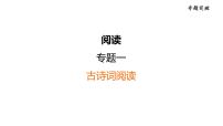 中考语文复习专题一古诗词阅读课时教学课件
