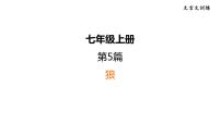 中考语文复习5.狼课时教学课件