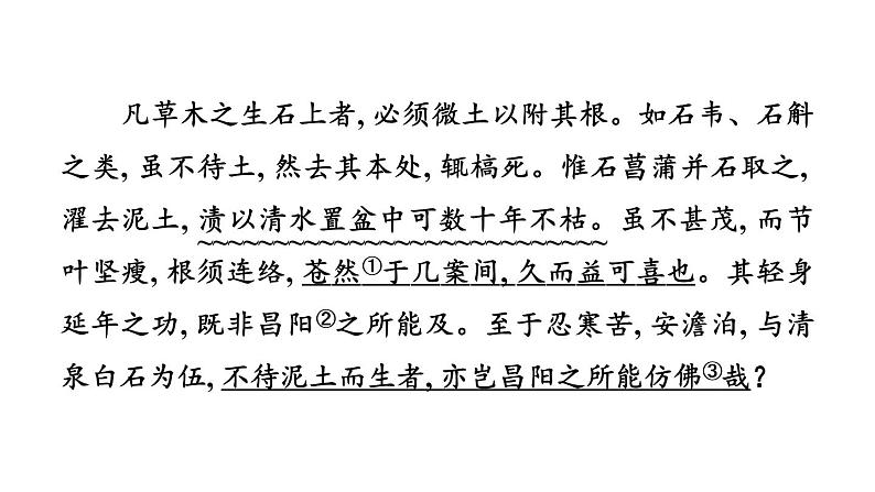 中考语文复习11.爱莲说课时教学课件第3页