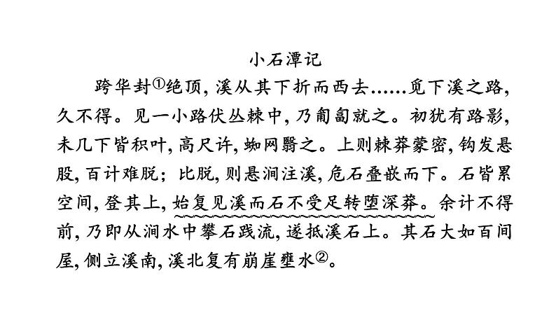 中考语文复习文言文训练23.小石潭记课件第3页