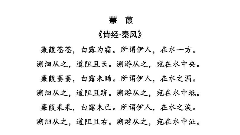 中考语文复习古诗词曲训练第46首蒹葭课件第3页