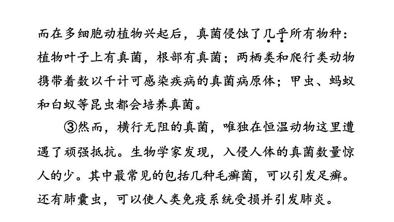 中考语文复习阅读专题五说明文阅读课件第4页