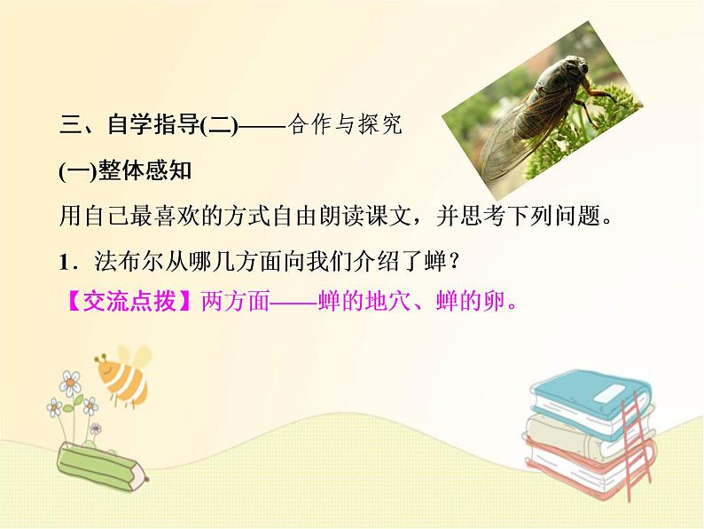 部编语文八年级上学期21《蝉》教案+课件+朗读+作业07