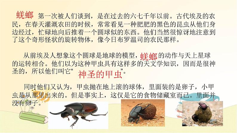 部编语文八年级上学期名著导读（二）课件+作业05