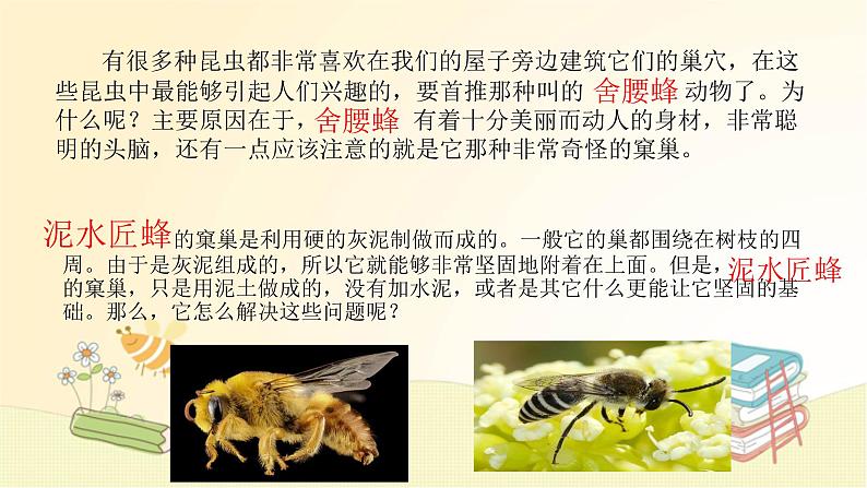部编语文八年级上学期名著导读（二）课件+作业07