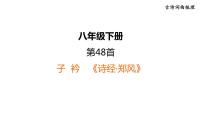 中考语文复习古诗词曲第48首子衿课时教学课件