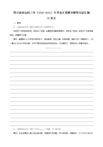 四川省凉山州三年（2020-2022）中考语文真题分题型分层汇编-05作文