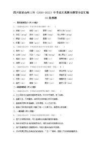 四川省凉山州三年（2020-2022）中考语文真题分题型分层汇编-01选择题