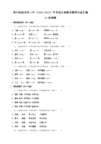 四川省自贡市三年（2020-2022）中考语文真题分题型分层汇编-01选择题