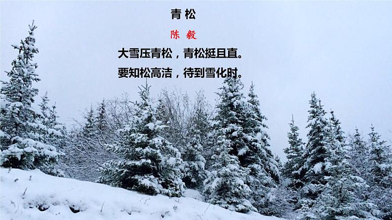 第2课《梅岭三章》-2022-2023学年九年级语文下册同步精讲课件第1页