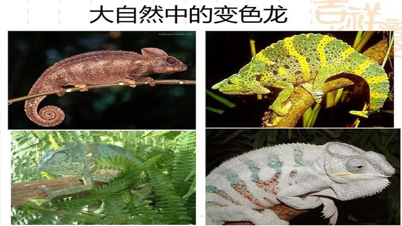 第6课《变色龙》-2022-2023学年九年级语文下册同步精讲课件第2页