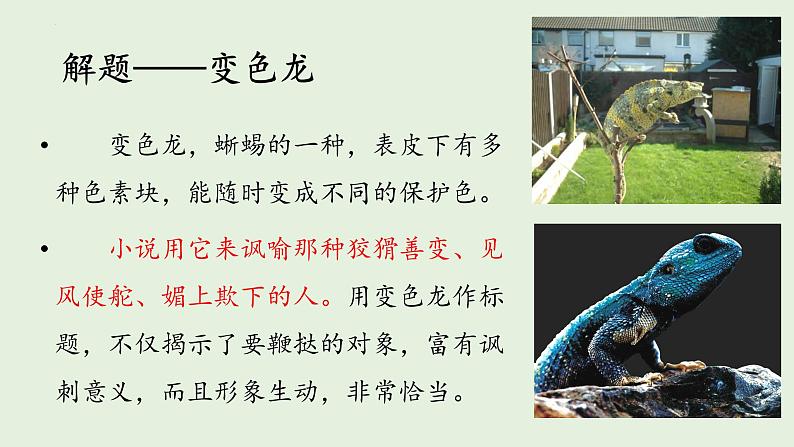第6课《变色龙》课件02