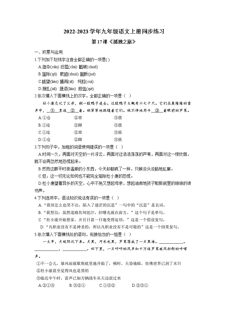 第17课《孤独之旅》同步练习  2022-2023学年部编版语文九年级上册第1页