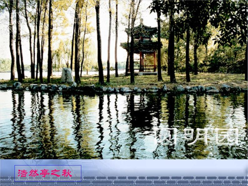 《就英法联军远征中国致巴特勒上尉的信》课件第4页