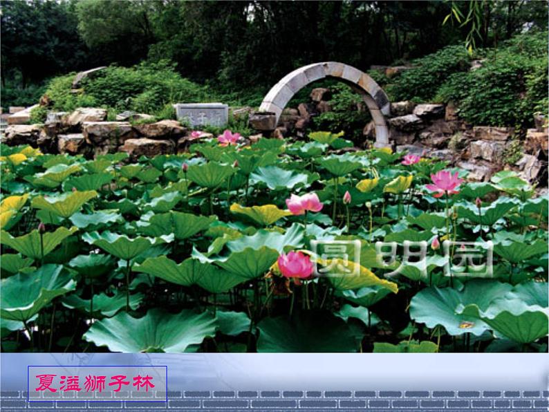 《就英法联军远征中国致巴特勒上尉的信》课件第5页