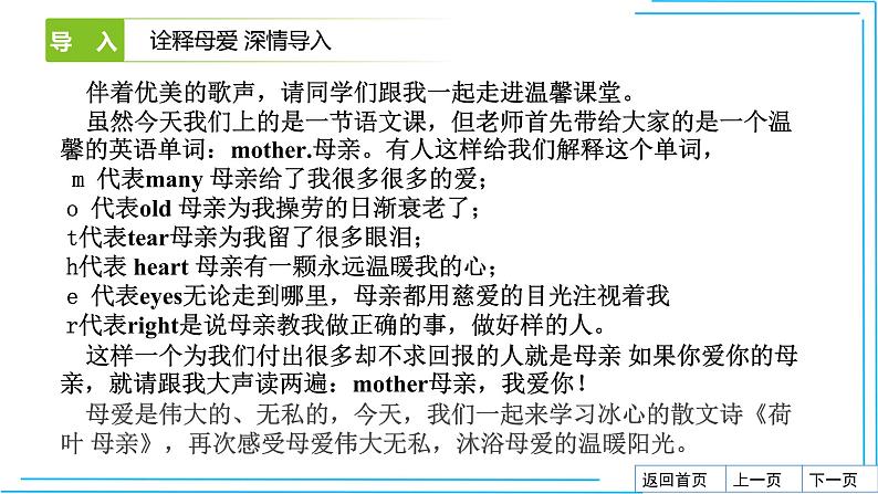 荷叶·母亲 课件04