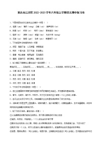 重庆市江津区2022-2023学年八年级上学期语文期中复习卷