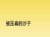 人教部编版八年级下册《被压扁的沙子》课件