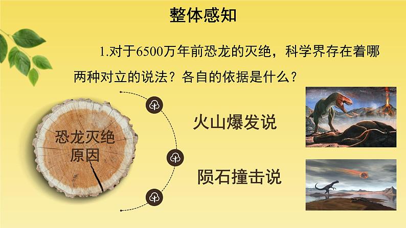 人教部编版八年级下册《被压扁的沙子》课件第3页