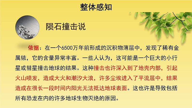 人教部编版八年级下册《被压扁的沙子》课件第4页