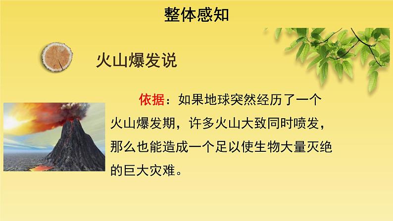 人教部编版八年级下册《被压扁的沙子》课件第5页