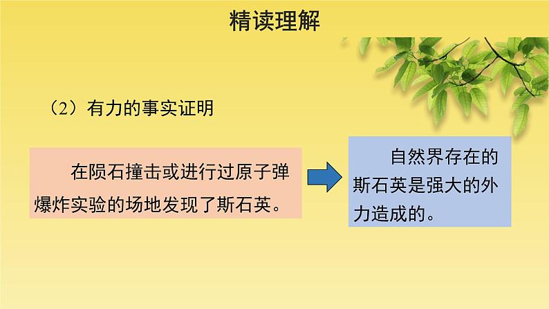 人教部编版八年级下册《被压扁的沙子》课件第7页
